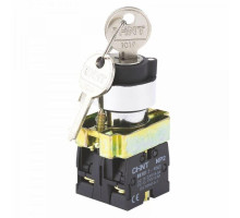 Переключатель NP2-BG25 2 полож. с фиксацией 1НЗ +1НО IP40 CHINT 574854
